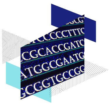 Stylized decorative graphic of written DNA sequence